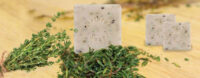 SBN0030 - Thyme Soap
